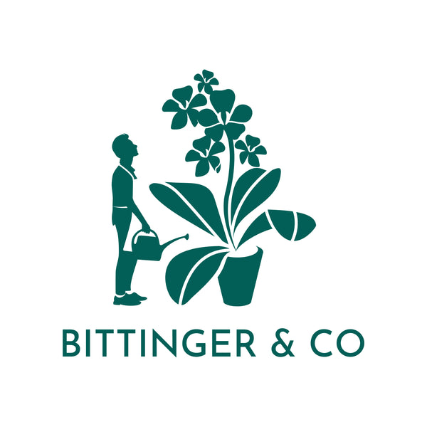 BITTINGER & CO